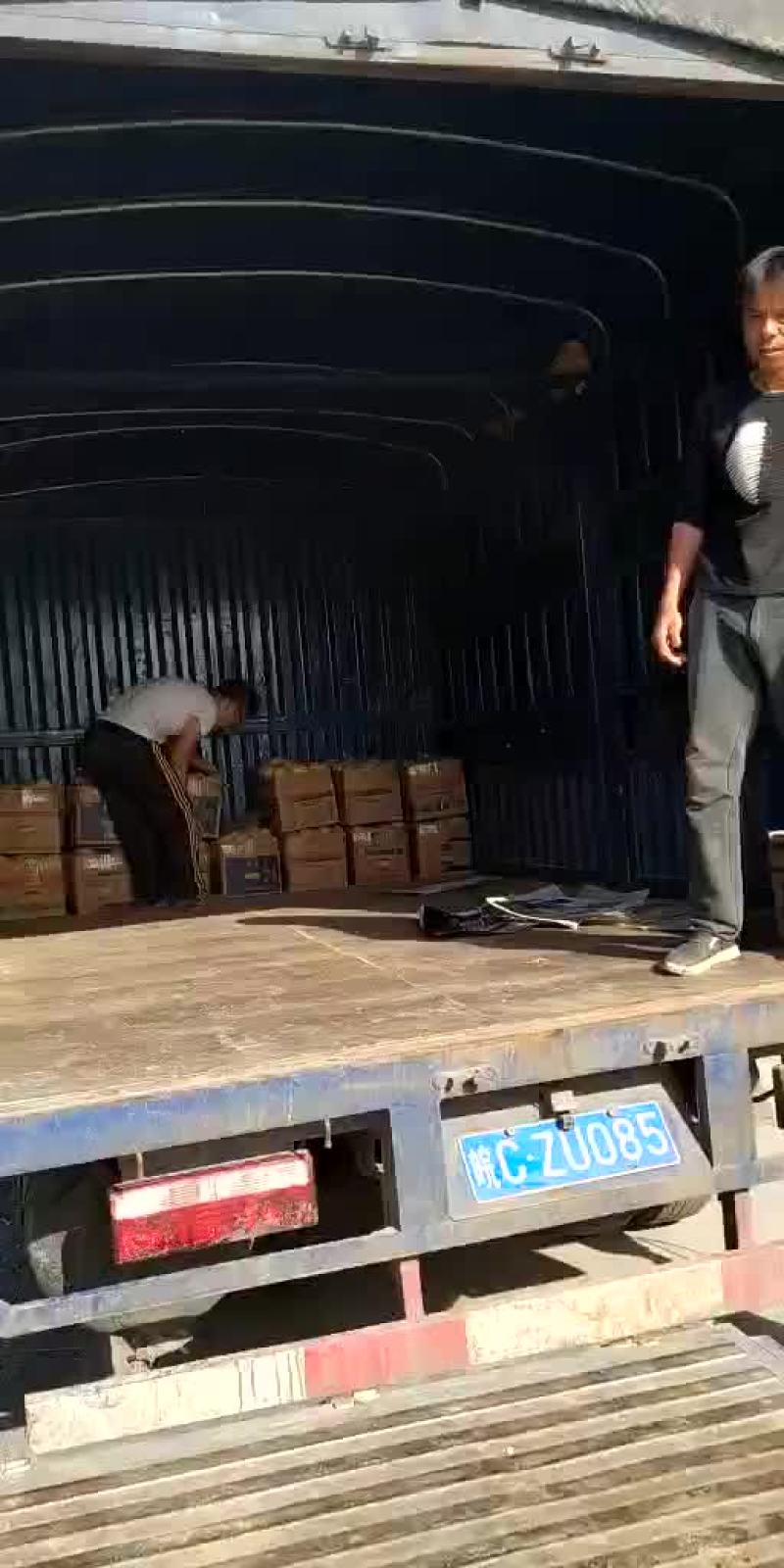 土豆，我这里大棚荷兰十五土豆量大，品质好