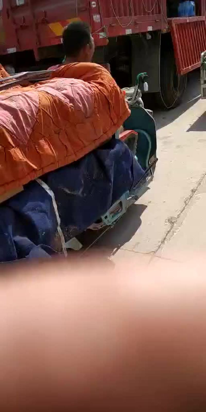 土豆，我这里大棚荷兰十五土豆量大，品质好