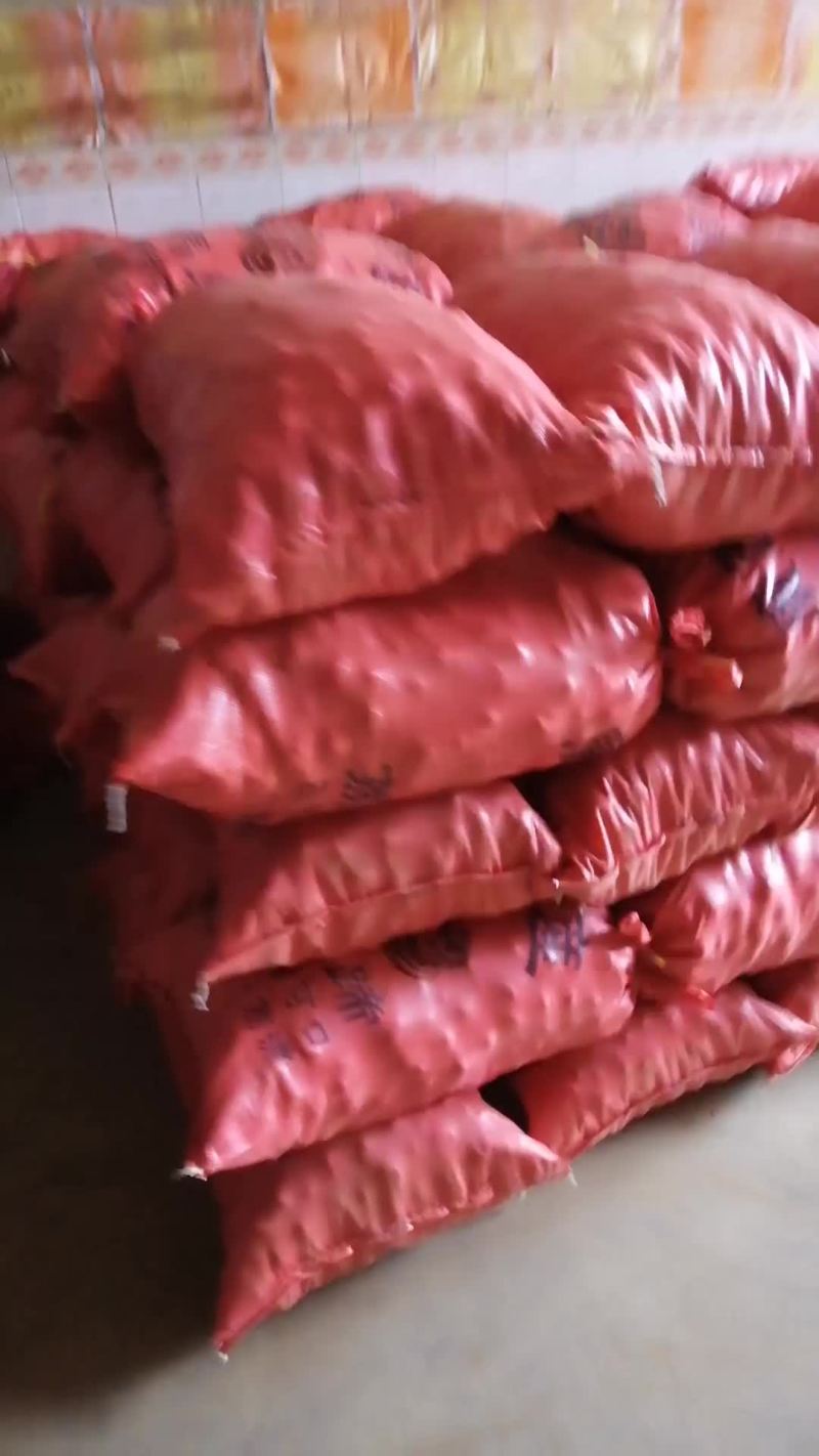 广西桂林山水毛马蹄水果蔬菜煲汤佳品