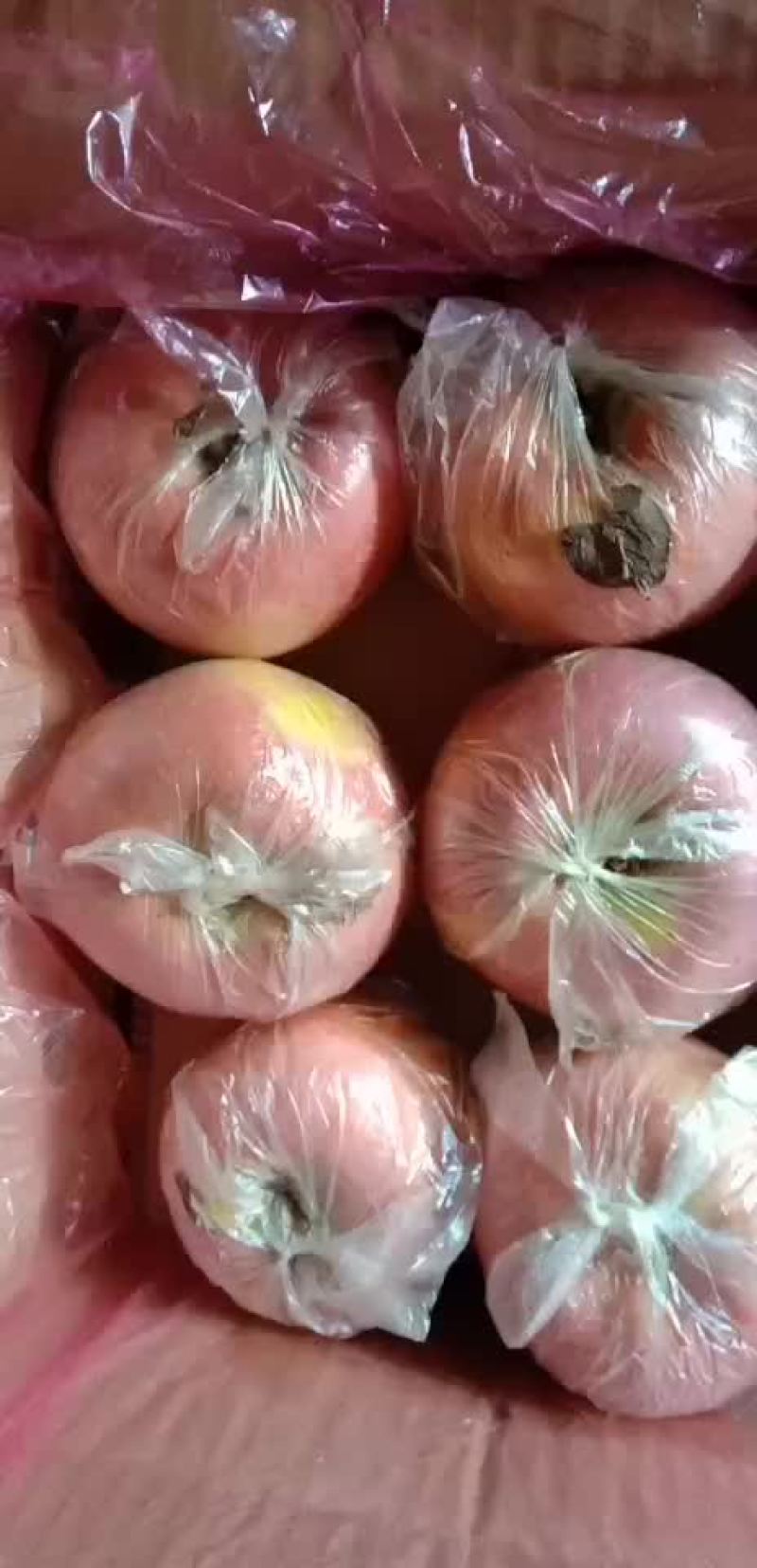 陕西礼泉膜袋，纸夹膜纸袋红富士苹果，冷库货大量现货