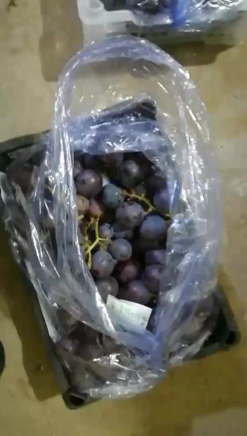 巨峰葡萄批发
