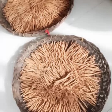 潞党参销售