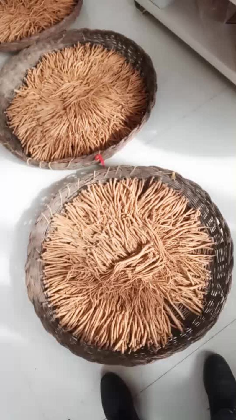 潞党参销售