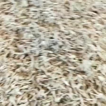 苤蓝干有需要随时联系我，价格可以商量