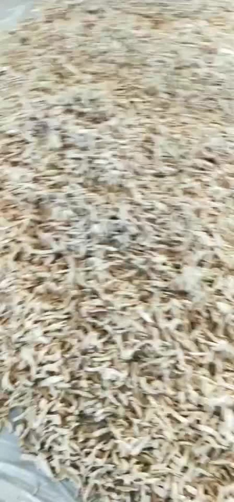 苤蓝干有需要随时联系我，价格可以商量