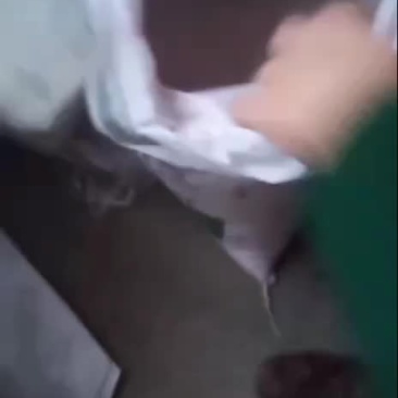光碳有机绿色无公害大米苹果梨