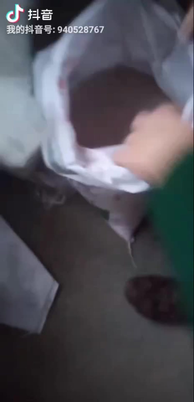 光碳有机绿色无公害大米苹果梨