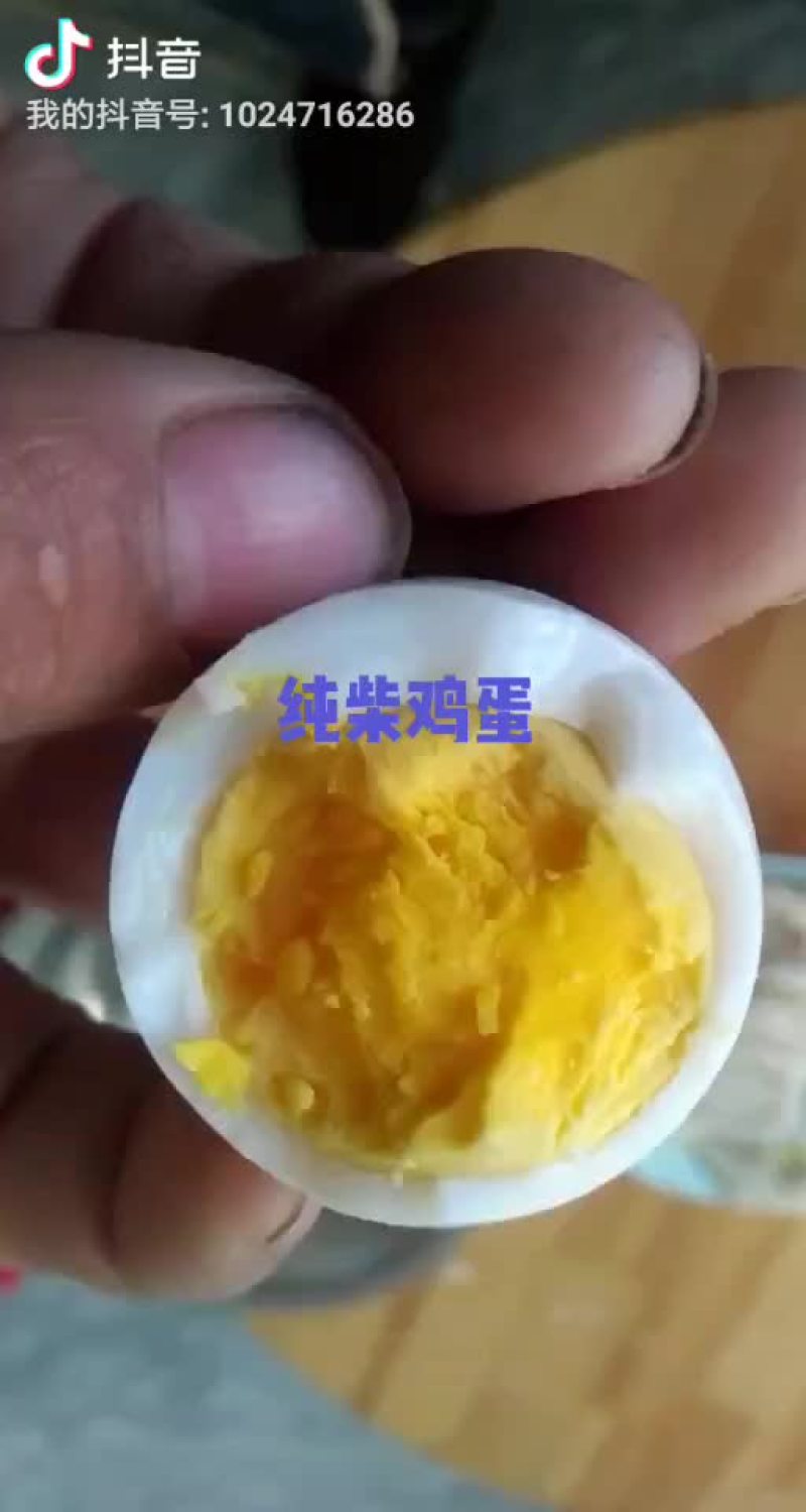 纯天然的散养鸡