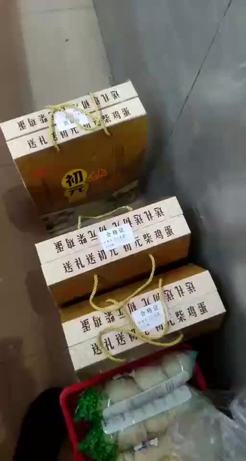 纯天然的散养鸡
