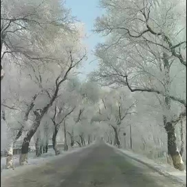 小粒香稻谷。东北原产地直发，没有中间商。