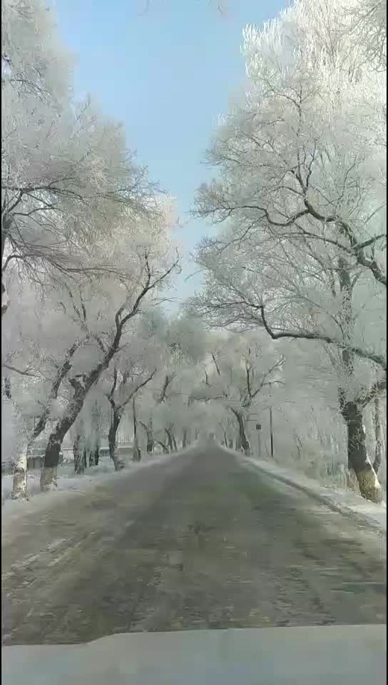 小粒香稻谷。东北原产地直发，没有中间商。