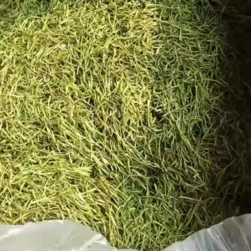 中药材
