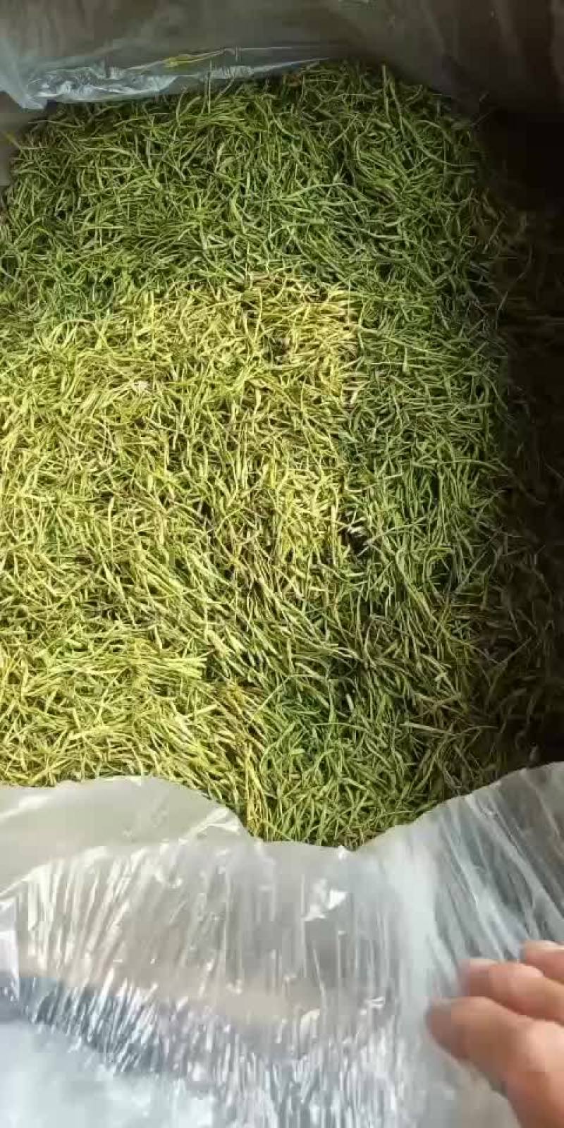 中药材