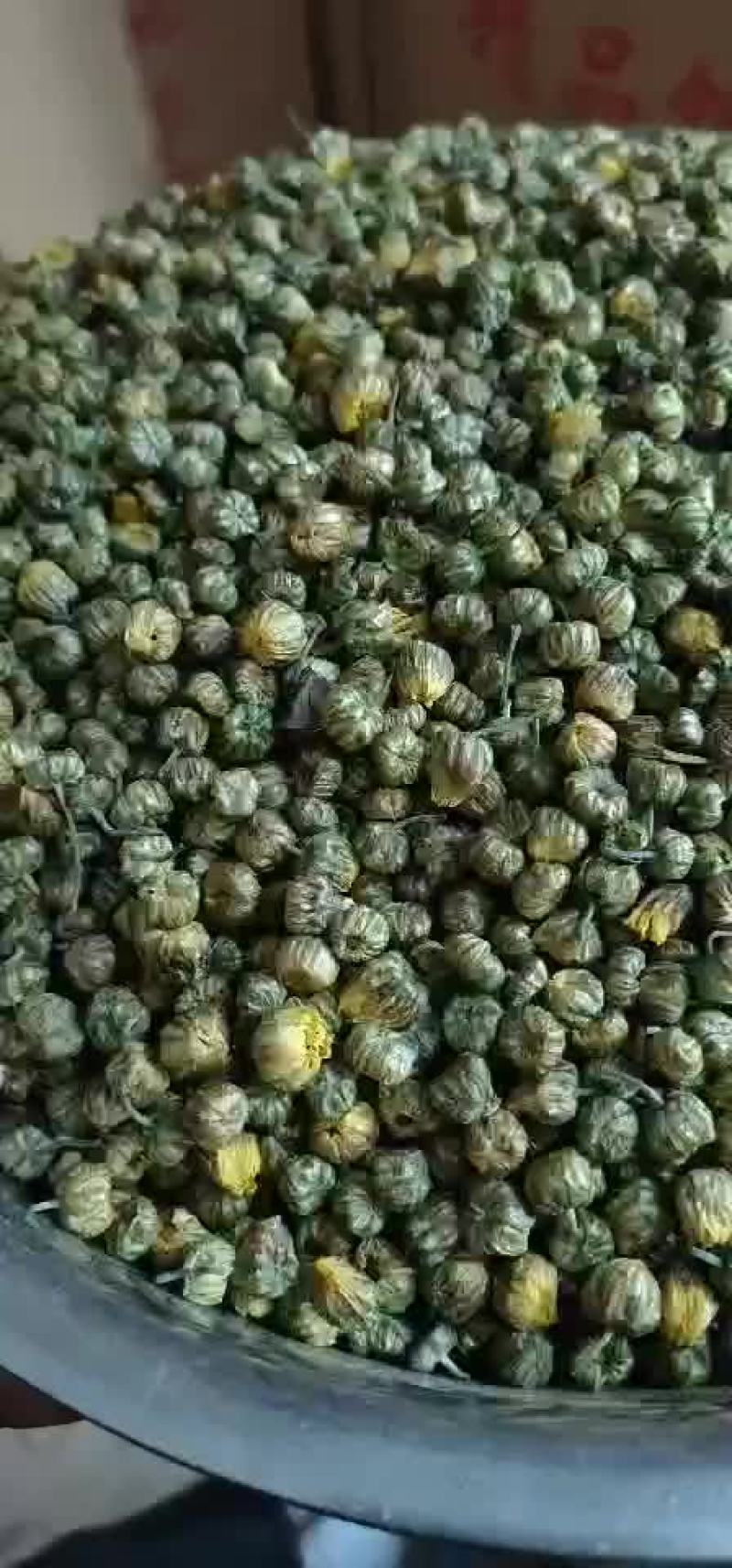 天然胎菊米茶精选菊花茶胎菊胎米非特级野生花