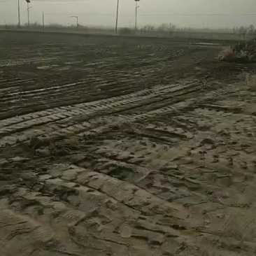 土地