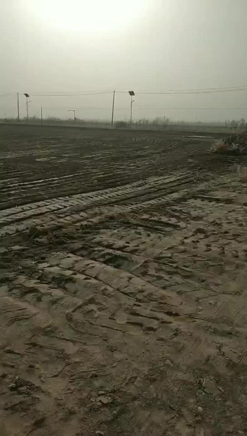 土地