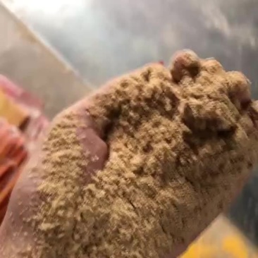 小米糠