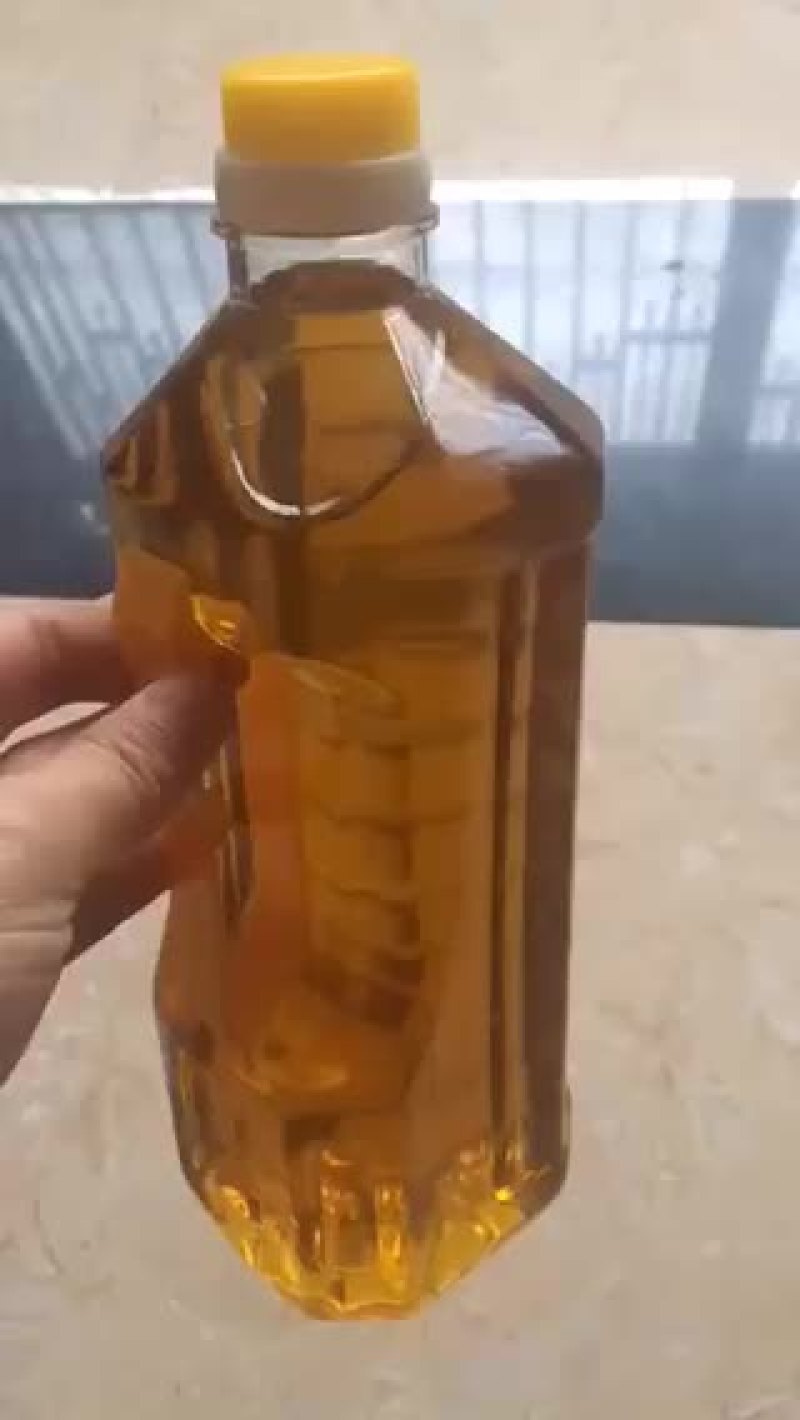 野生天然山茶油