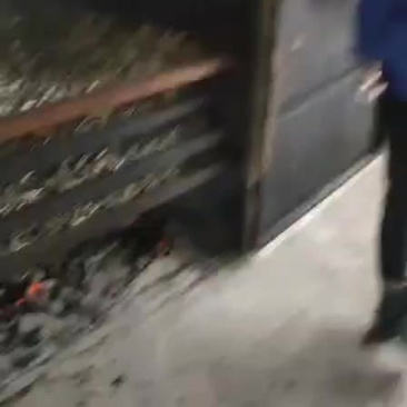 果炭火焙餐条鱼