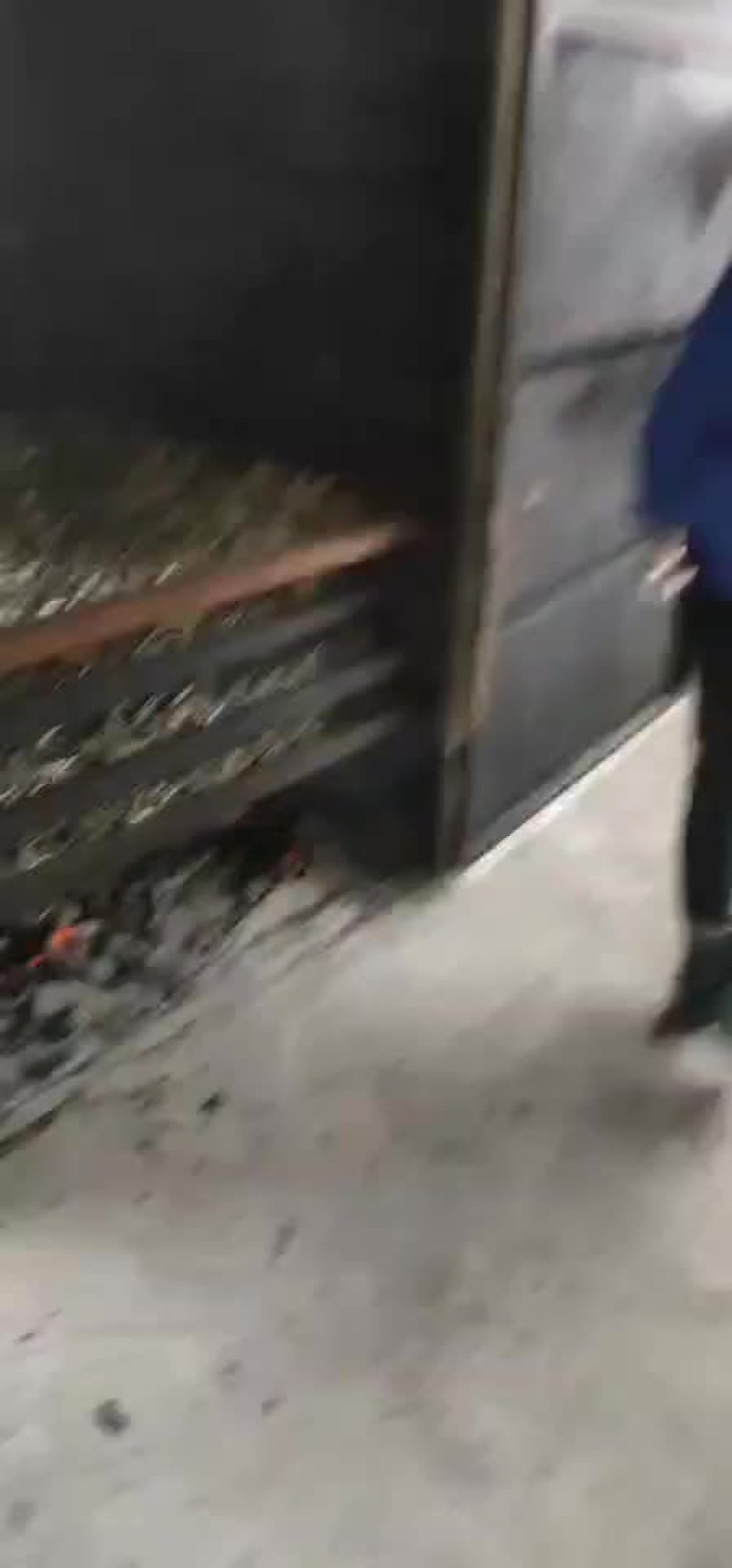 果炭火焙餐条鱼