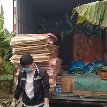 香蕉