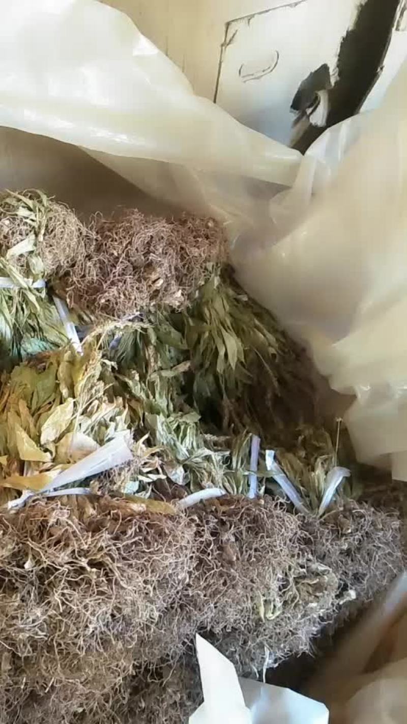 见血清干货需要联系我哦
