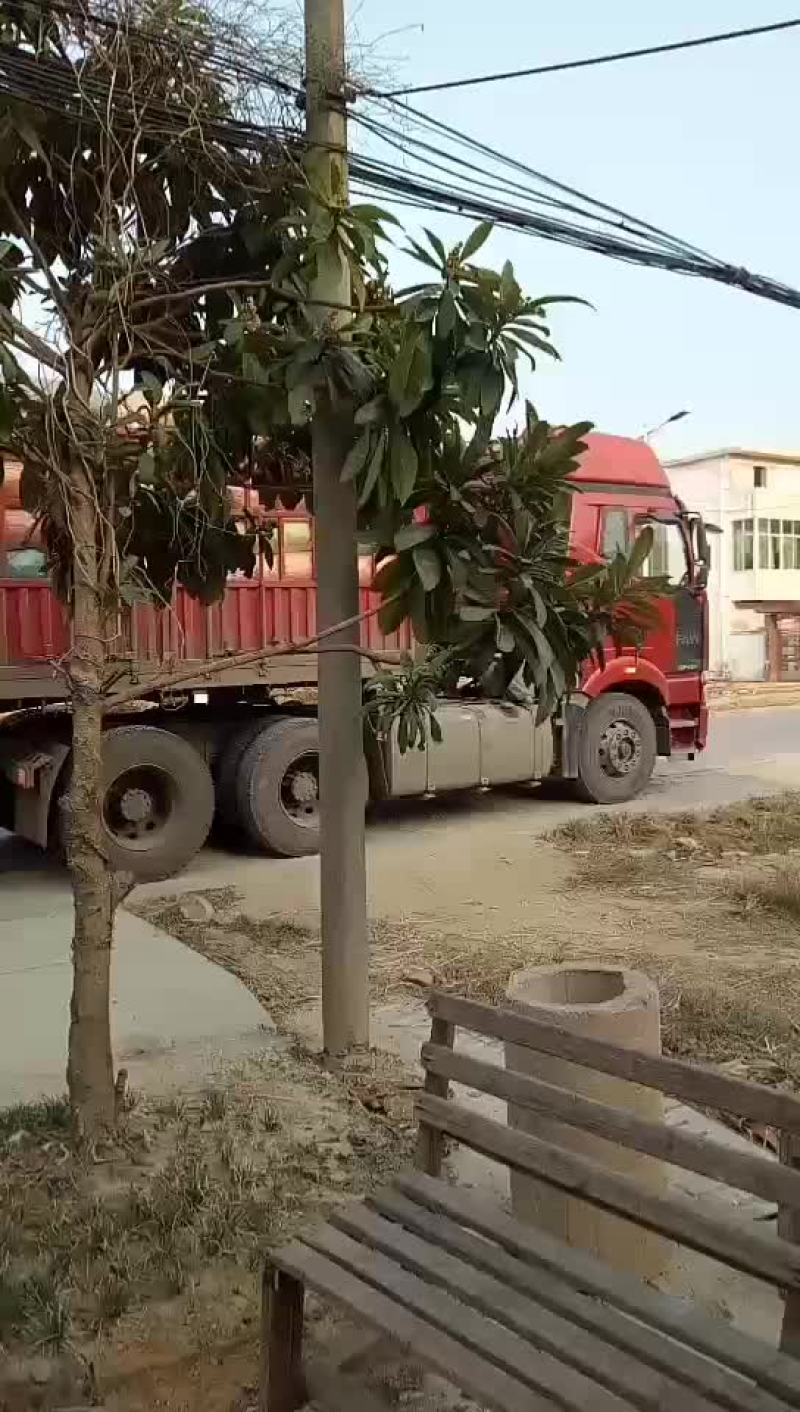 马蹄始兴万亩马蹄种植基地大量供应市场加工厂电商外贸出口