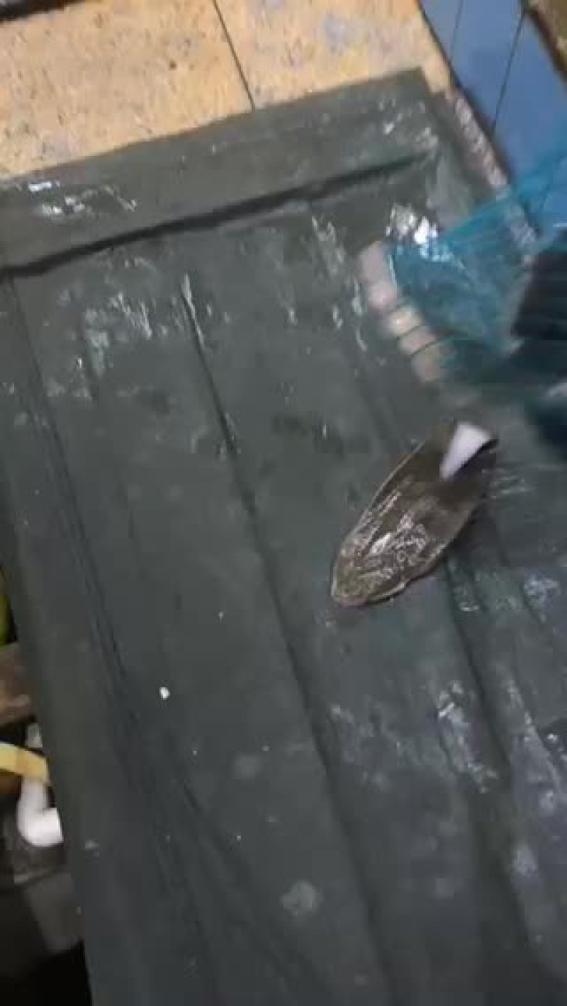 舌塌