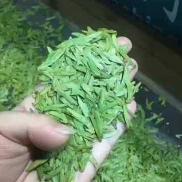 2020乌牛早龙井