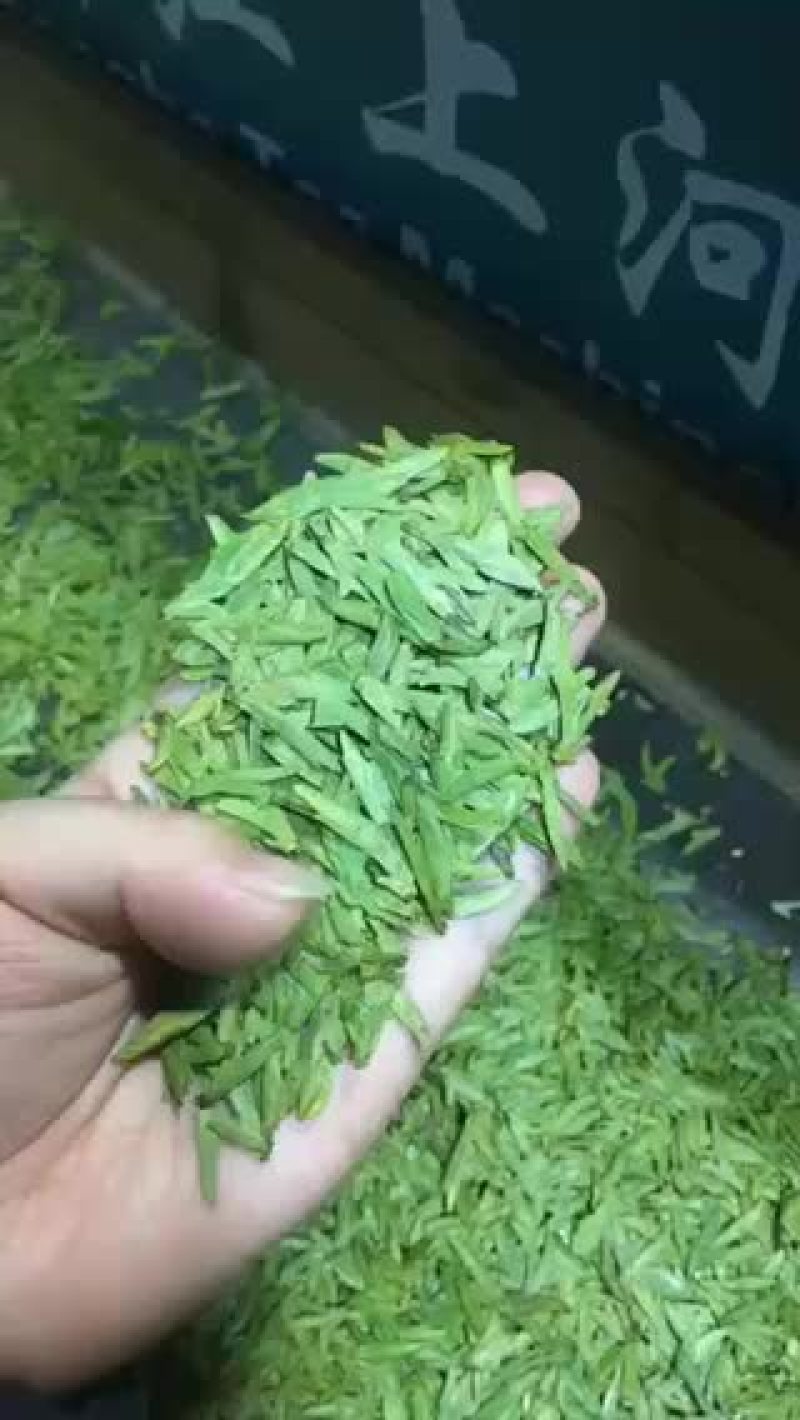 2020乌牛早龙井