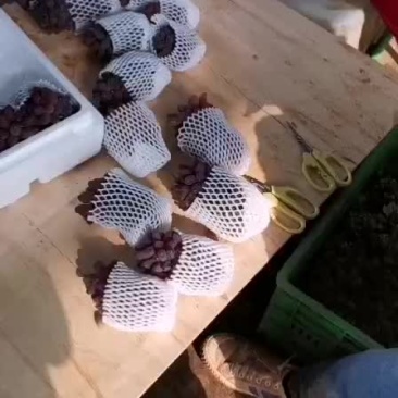 香甜可口。茉莉香