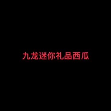 九龙迷你礼品西瓜种子