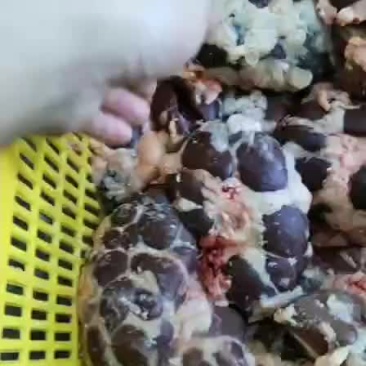 国产纯干原油牛腰纯国产货，无水质量保证