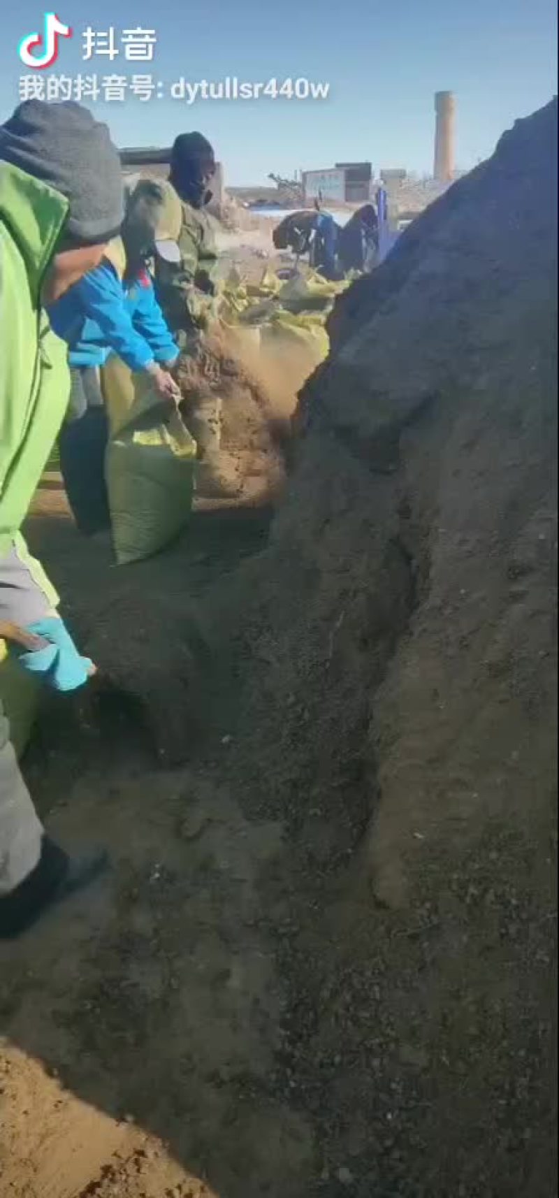 内蒙古苏尼特风干纯羊粪