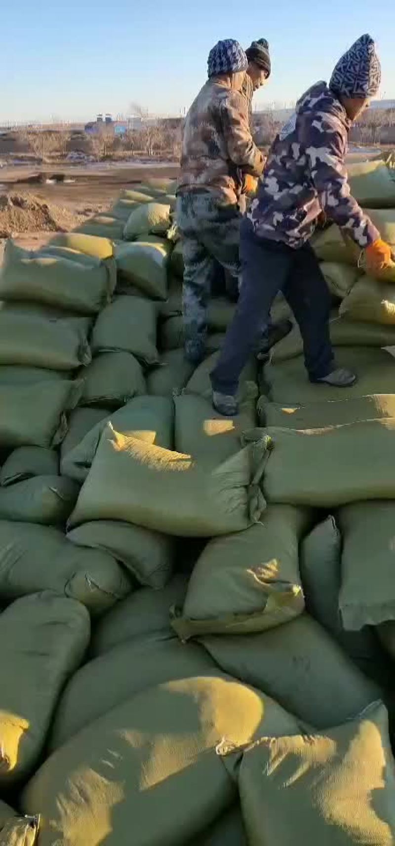 内蒙古苏尼特风干纯羊粪