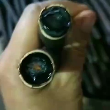 便秘果腊肠果