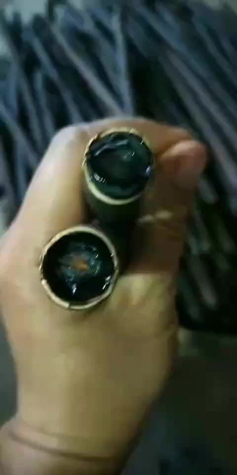 便秘果腊肠果