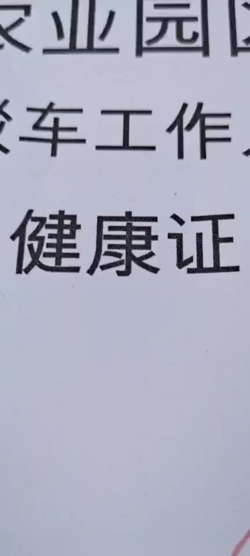 上海崇明蟹苗出售