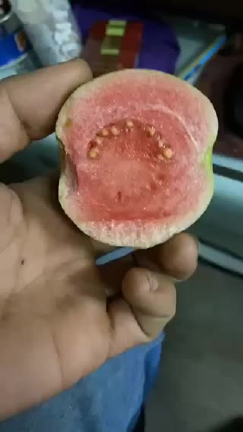 红心芭