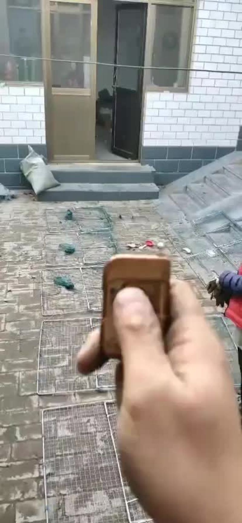 拍网