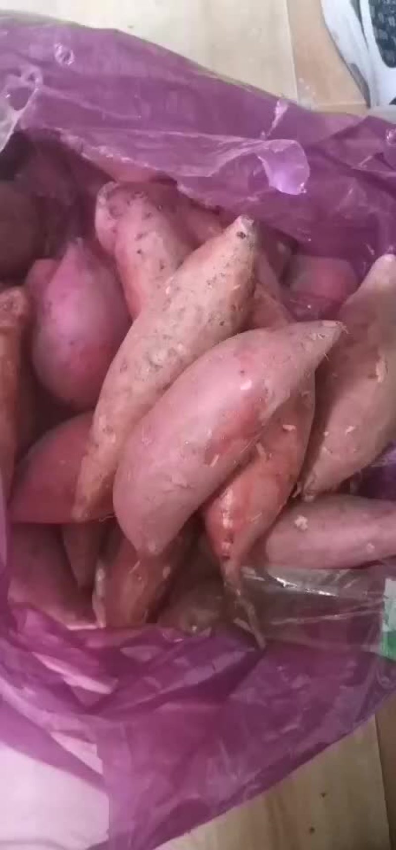 龙薯九小红薯