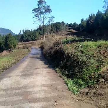 土地出租农村闲置土地