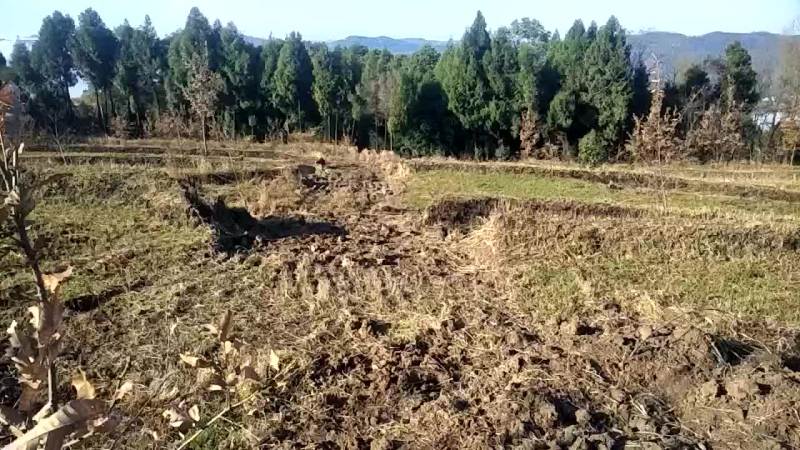 土地出租农村闲置土地