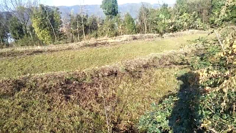 土地出租农村闲置土地