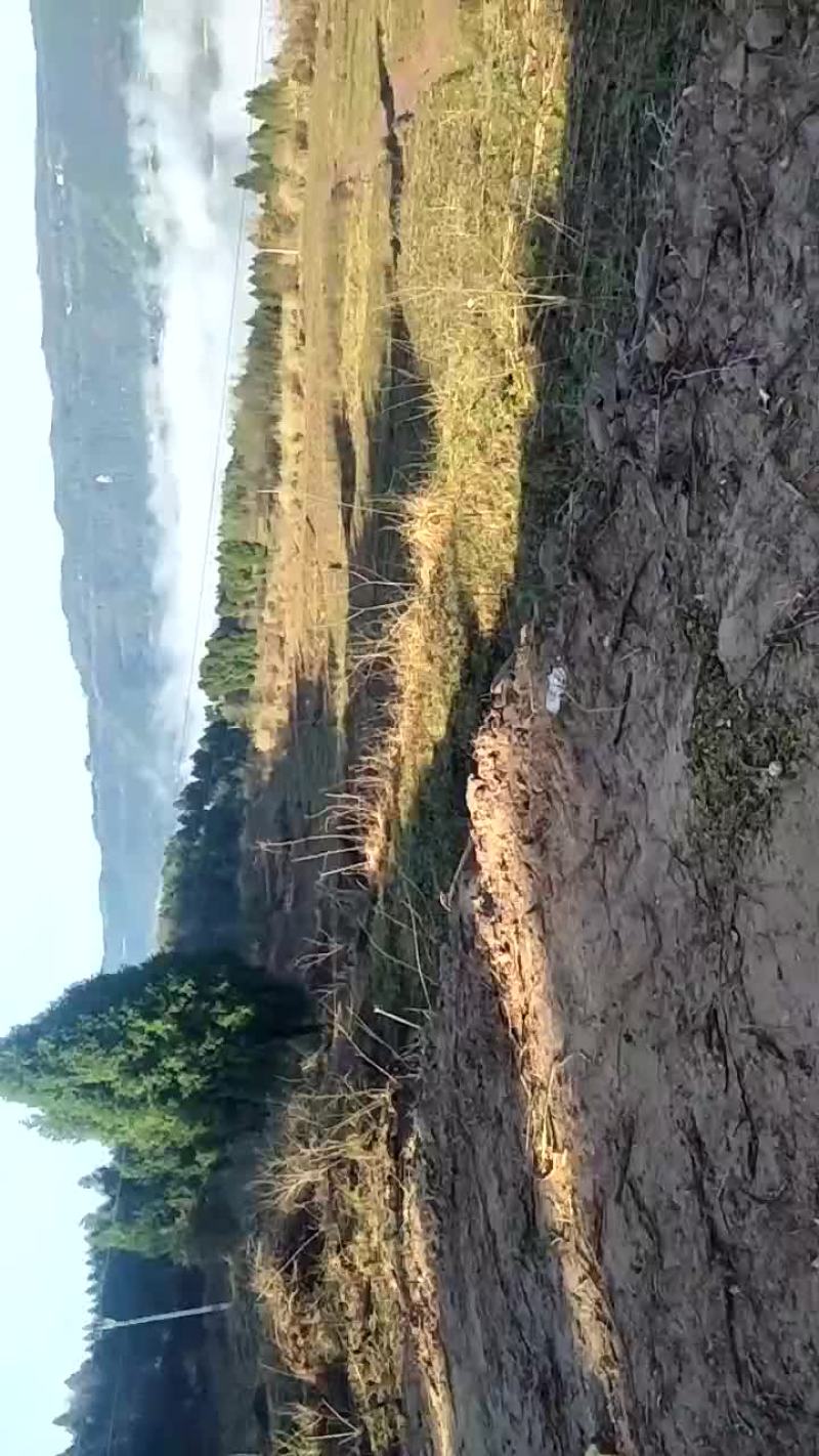 土地出租农村闲置土地