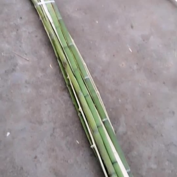 竹片常年供应竹片竹竿
