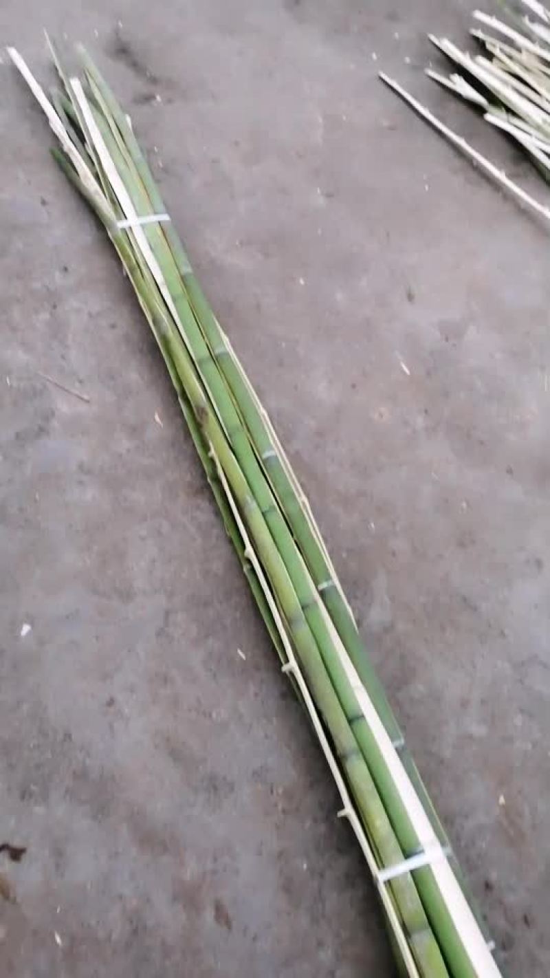 竹片常年供应竹片竹竿