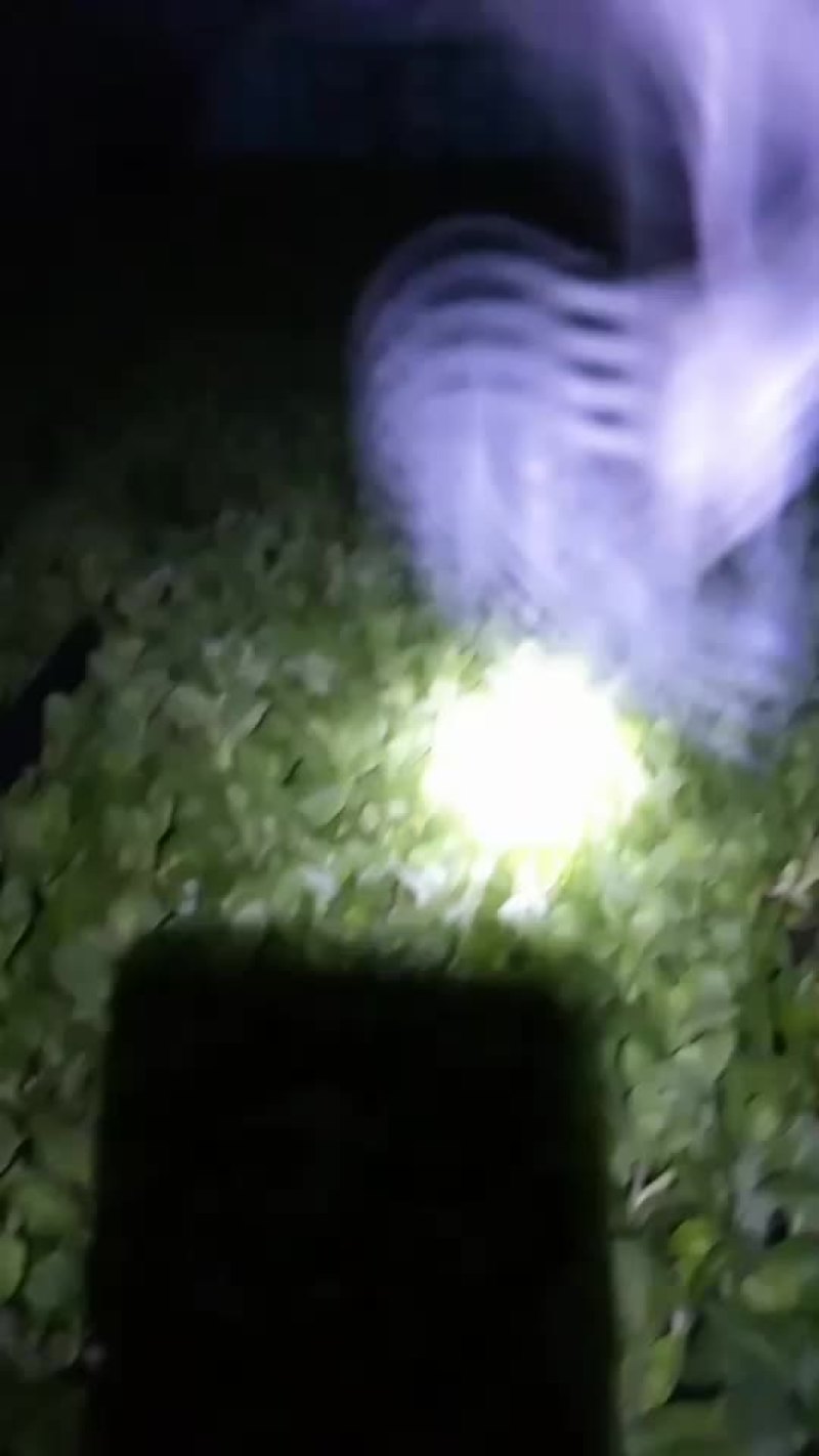 小王菜苔转送