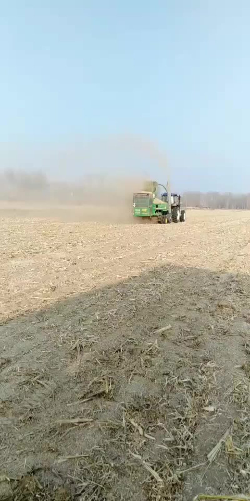 秸秆