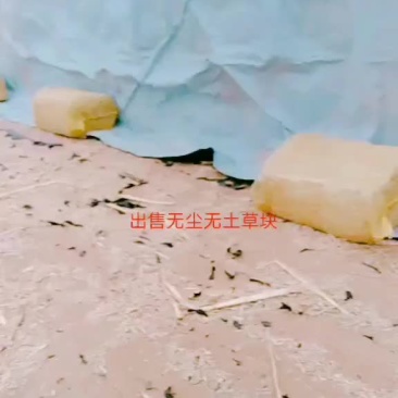 秸秆